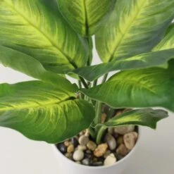 Artificial Dieffenbachia In White Plant Pot -Dunelm Store 1000158287 alt01