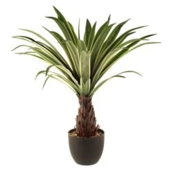 Artificial Dracaena Plant In Black Plant Pot -Dunelm Store 1000161718 alt03
