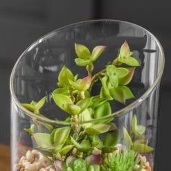 Artificial Succulent Garden In Sand Glass Terrarium -Dunelm Store 1000183134 alt02