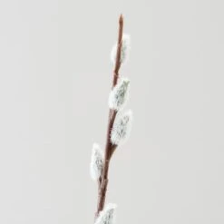 Artificial White Pussy Willow Stem -Dunelm Store 30012868 alt01
