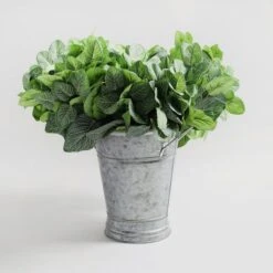 Artificial Green Fittonia Stems -Dunelm Store 30632047 alt02