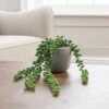 Artificial String Of Pearls In Grey Cement Plant Pot -Dunelm Store 30672980
