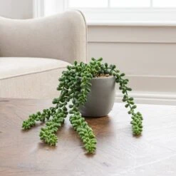 Artificial String Of Pearls In Grey Cement Plant Pot