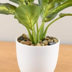 Artificial Dieffenbachia In White Plant Pot -Dunelm Store 30672986 alt02