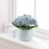 Artificial Teal Hydrangeas In Ceramic Plant Pot -Dunelm Store 30687465