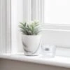 Artificial Succulent In White Marble Plant Pot -Dunelm Store 30717968