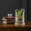 Artificial Succulent Garden In Sand Glass Terrarium