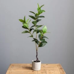 Artificial Lemon Leaf In Concrete Plant Pot 8 Artificial Lemon Leaf In Concrete Plant Pot -Dunelm Store 30724505 alt03