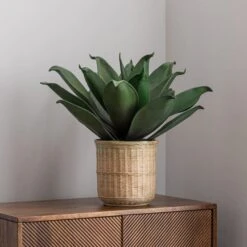 Artificial Agave In Bamboo Plant Pot -Dunelm Store 30726492 alt03