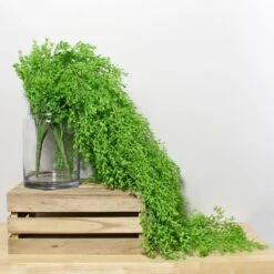 Artificial Trailing Vine Bush Stem -Dunelm Store 30730284 alt04