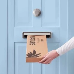 Artificial Eucalyptus Willow And Chestnut Letterbox Bouquet 11 Artificial Eucalyptus Willow And Chestnut Letterbox Bouquet -Dunelm Store 30748823 alt04