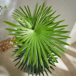 Artificial Fan Palm Tree 100cm -Dunelm Store 30792753 alt01