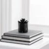 Artificial Succulent In Black Marble Plant Pot