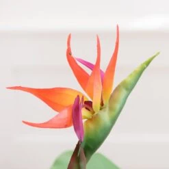 Artificial Bird Of Paradise Tree In Black Plant Pot -Dunelm Store 30827283 alt02