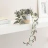 Artificial Trailing Tradescantia In White Ceramic Plant Pot -Dunelm Store 30827287