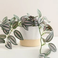 Artificial Trailing Tradescantia In White Ceramic Plant Pot -Dunelm Store 30827287 alt01
