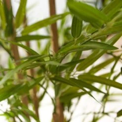 Artificial Indoor Outdoor Bamboo Tree In White Geometric Pot -Dunelm Store 30861642 alt02