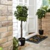 Set Of 2 Artificial Bay Tree Plants In Black Pots -Dunelm Store 30861643