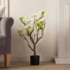 Artificial Cream Magnolia Tree In Black Plant Pot -Dunelm Store 30863967