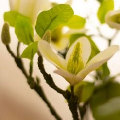 Artificial Cream Magnolia Tree In Black Plant Pot -Dunelm Store 30863967 alt01