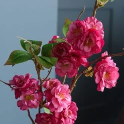 Artificial Cherry Blossom Stem -Dunelm Store 30864019 alt02