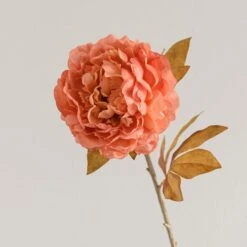 Artificial Dried Pink Peony Stem 13 Artificial Dried Pink Peony Stem -Dunelm Store 30864035 alt02