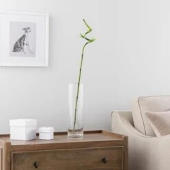 Artificial Lucky Bamboo Stem -Dunelm Store 30864041