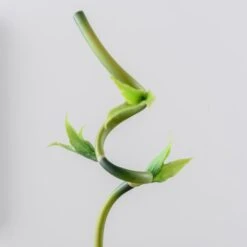 Artificial Lucky Bamboo Stem -Dunelm Store 30864041 alt04