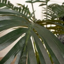 Artificial Palm Tree In White Ceramic Plant Pot -Dunelm Store 30864283 alt02