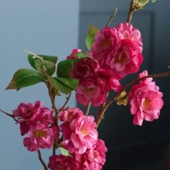 Artificial Cherry Blossom Stem -Dunelm Store 30870079 alt02