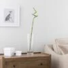 Artificial Lucky Bamboo Stem -Dunelm Store 30870093