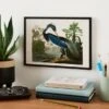 JJ Audubon Louisiana Heron Poster -Dunelm Store 30873297
