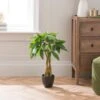 Artificial Money Tree Plant In Black Cement Plant Pot -Dunelm Store 30894983