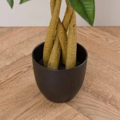 Artificial Money Tree Plant In Black Cement Plant Pot -Dunelm Store 30894983 alt02
