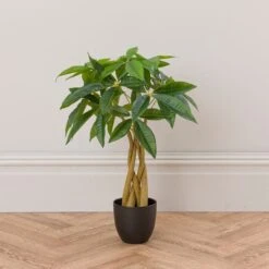 Artificial Money Tree Plant In Black Cement Plant Pot -Dunelm Store 30894983 alt03