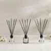 Set Of 3 Pear & Gardenia, Plum & Patchouli And Tuberose & Freesia Diffusers -Dunelm Store 30897754