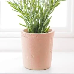 Artificial Rosemary In Orange Cement Plant Pot -Dunelm Store 30918337 alt03