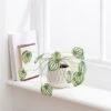 Artificial Peperomia Plant In Cream Ceramic Plant Pot -Dunelm Store 30923343