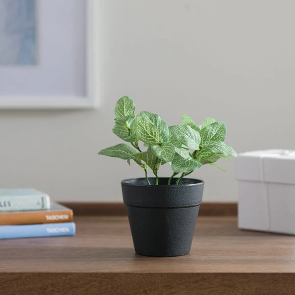 Artificial Fittonia Plant In Black Plant Pot 1 Artificial Fittonia Plant In Black Plant Pot