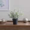Artificial Eucalyptus Plant In Black Plant Pot