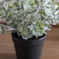 Artificial Eucalyptus Plant In Black Plant Pot -Dunelm Store 30923360 alt03