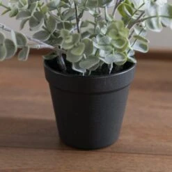 Artificial Eucalyptus Plant In Black Plant Pot -Dunelm Store 30923360 alt04