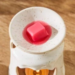 Set Of 6 Dragonfruit & Lychee Wax Melts -Dunelm Store 30924793 alt01