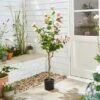 Artificial Rose Tree In Black Plant Pot -Dunelm Store 30925736