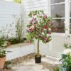 Artificial Purple Bougainvillea Tree In Black Plastic Plant Pot -Dunelm Store 30926167