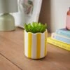 Artificial Succulent In Striped Ceramic Plant Pot -Dunelm Store 30944992