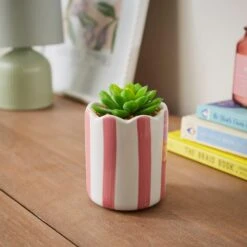 Artificial Succulent In Striped Ceramic Plant Pot -Dunelm Store 30945001