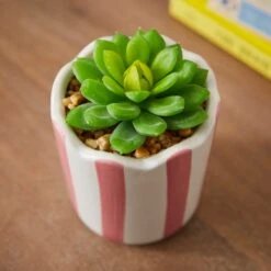 Artificial Succulent In Striped Ceramic Plant Pot -Dunelm Store 30945001 alt01