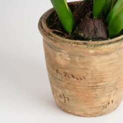 Artificial Tulip Spray In Cement Plant Pot -Dunelm Store 30958133 alt03
