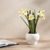 Artificial Daffodil Spray In Ceramic Plant Pot -Dunelm Store 30958149